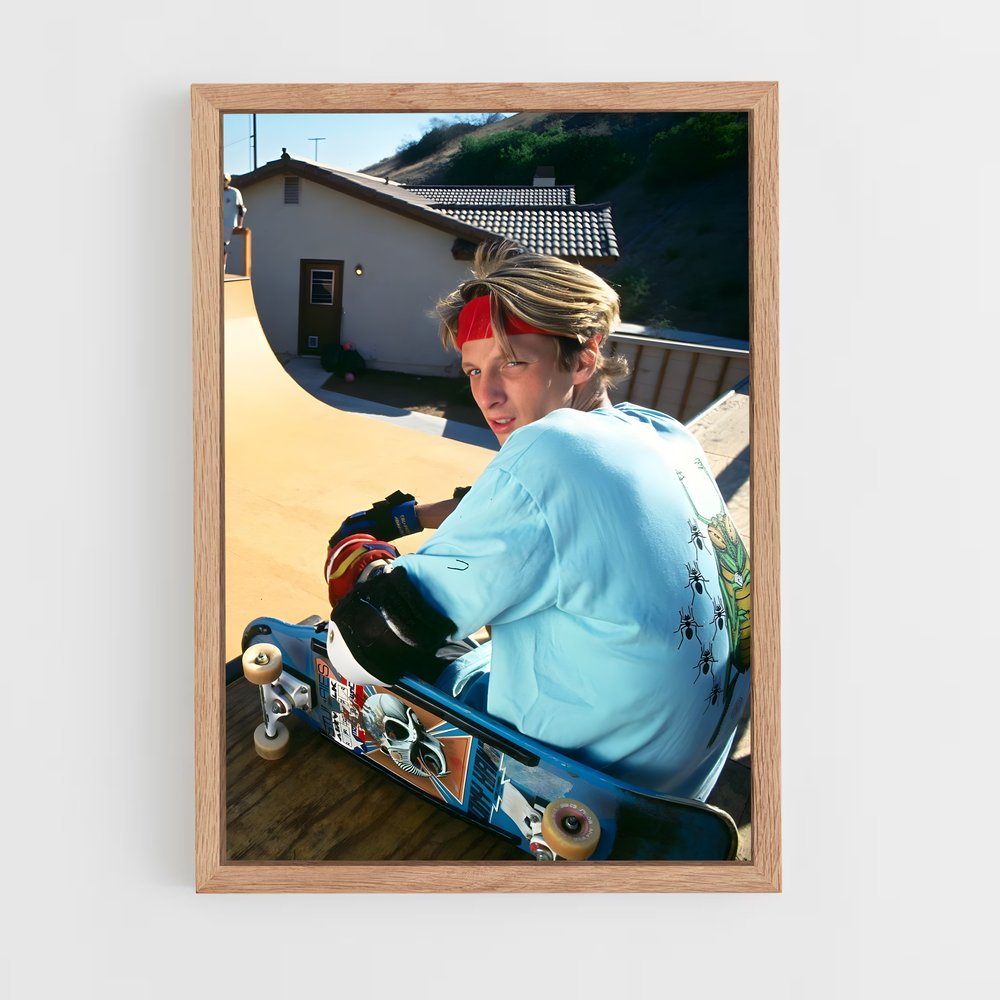 Poster Tony hawk – affiche Skateboard (vue 4)